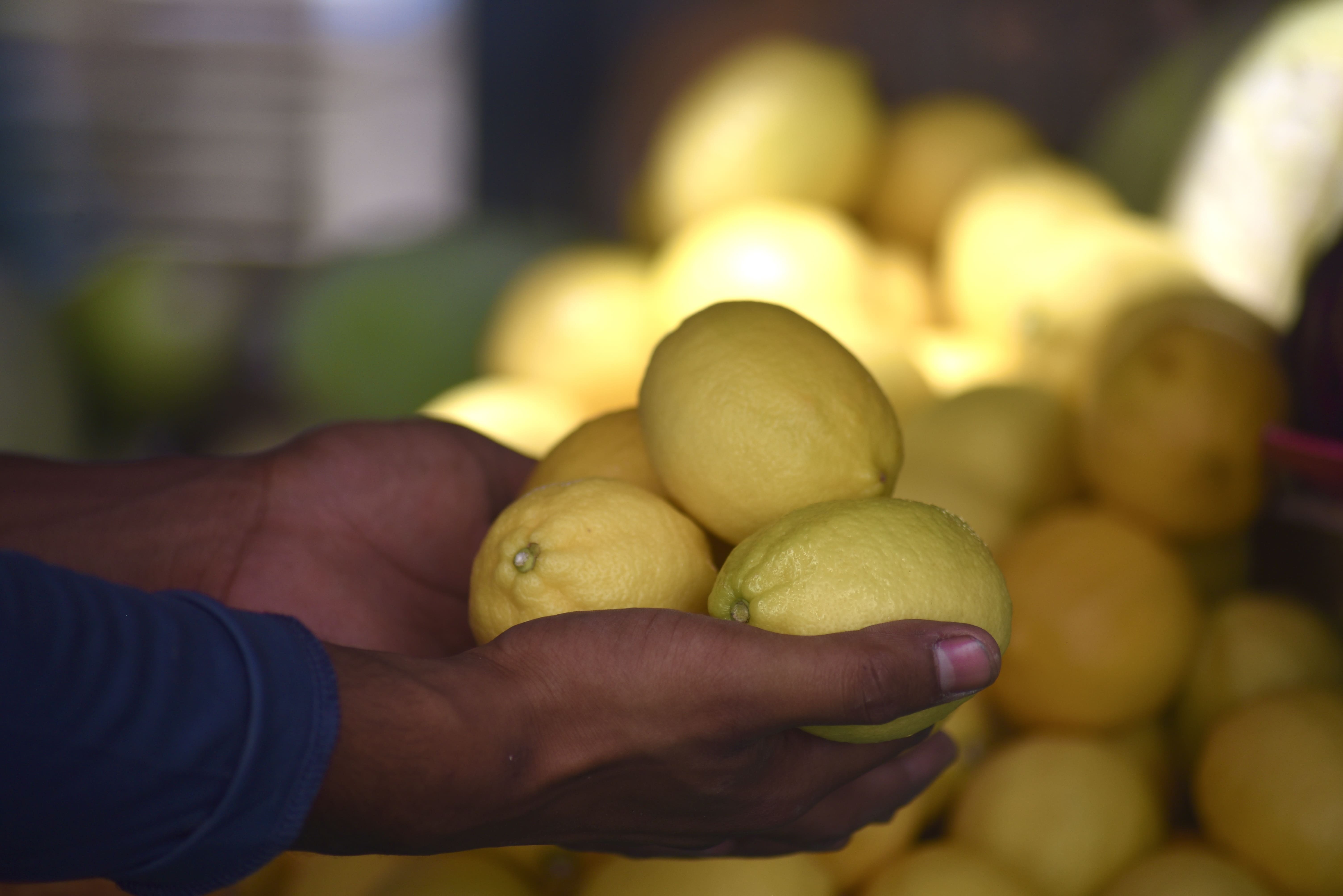 Brezilya Limonunda Verim ve Kalite Artışı