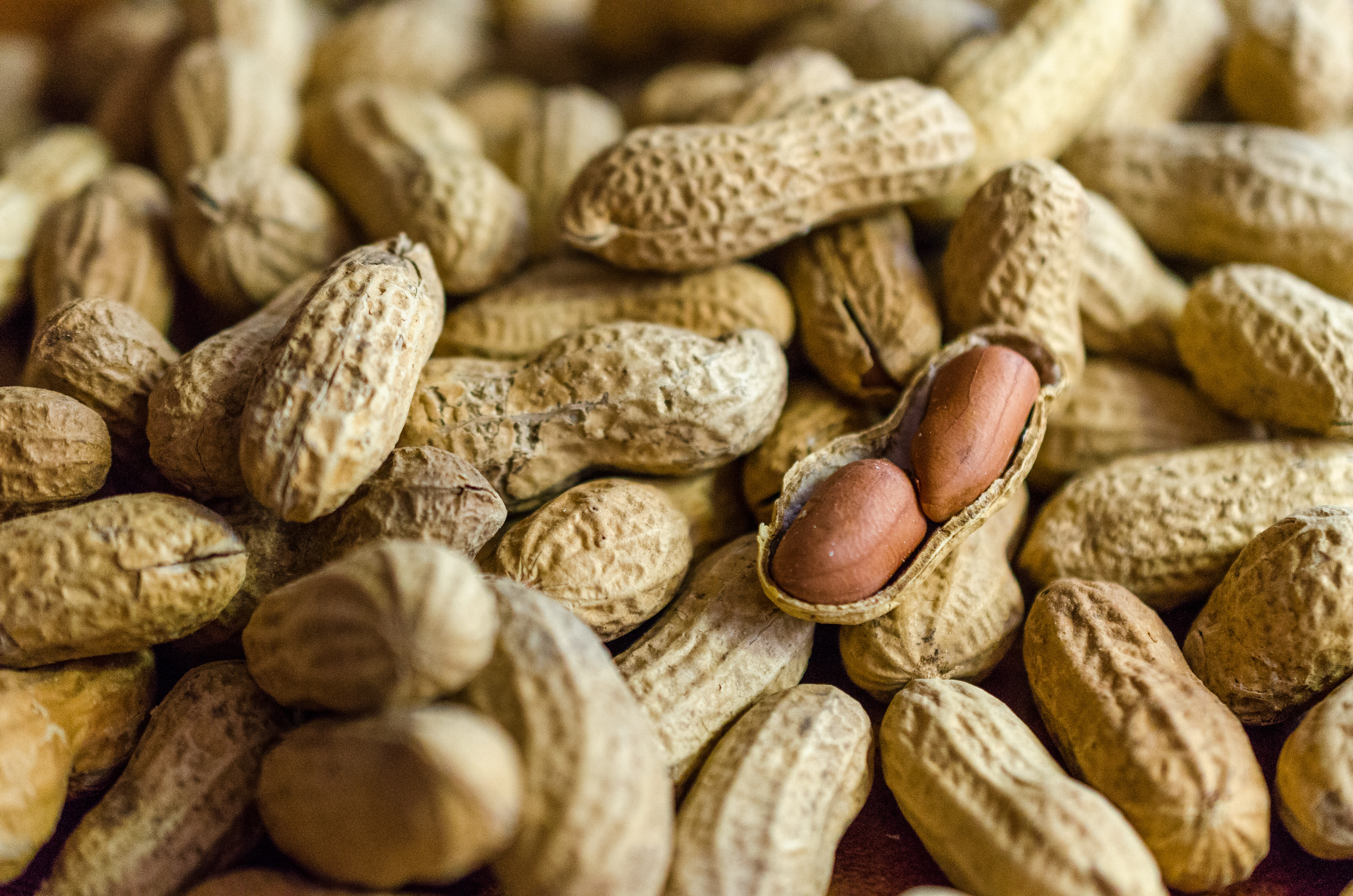 Senegal: Yer Fıstığı ve Balıkçılıkla Dengeli Bir Ekonomi