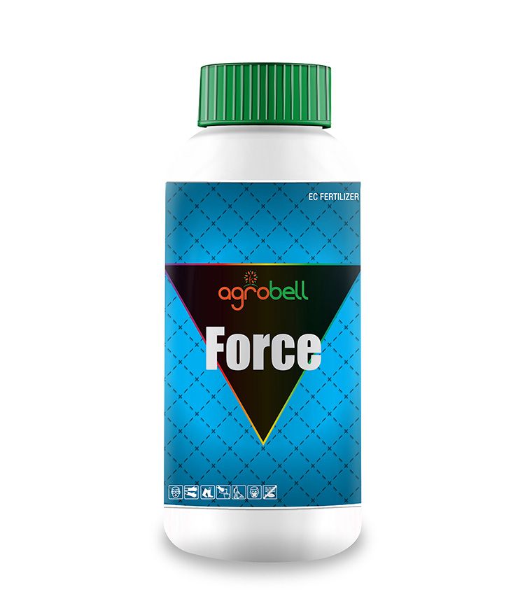 FORCE