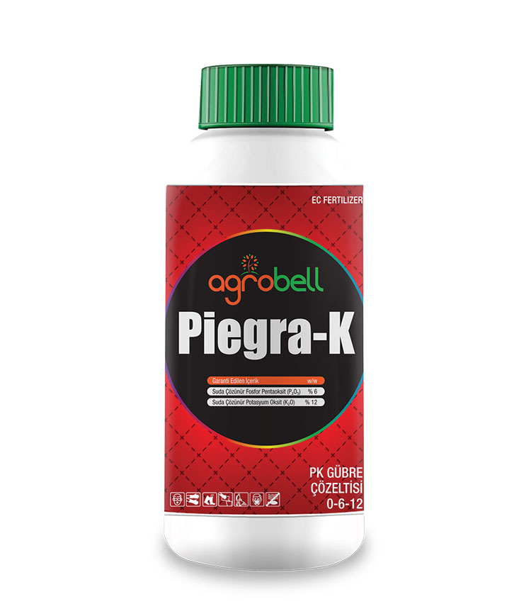 PIEGRA-K