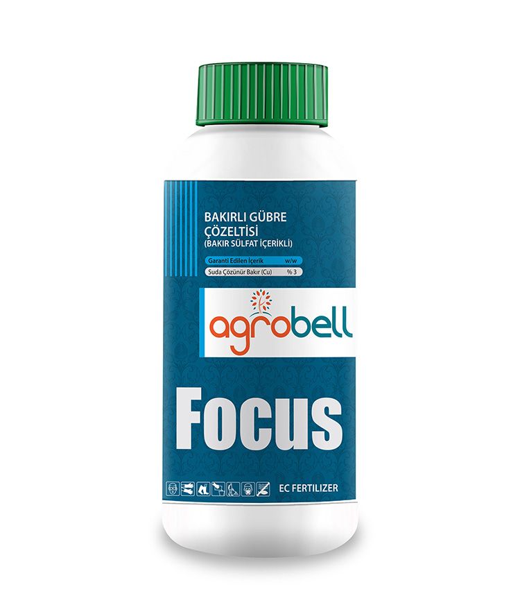FOCUS