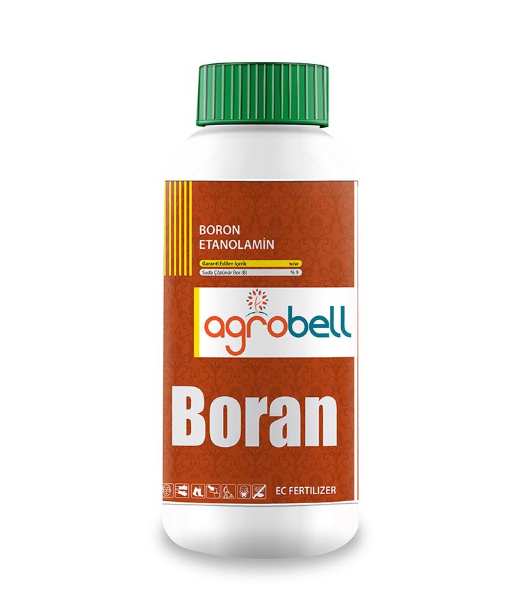 BORAN