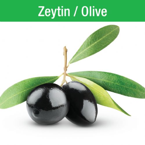 Zeytin